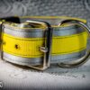 Collares Stillwater Kennel Supply