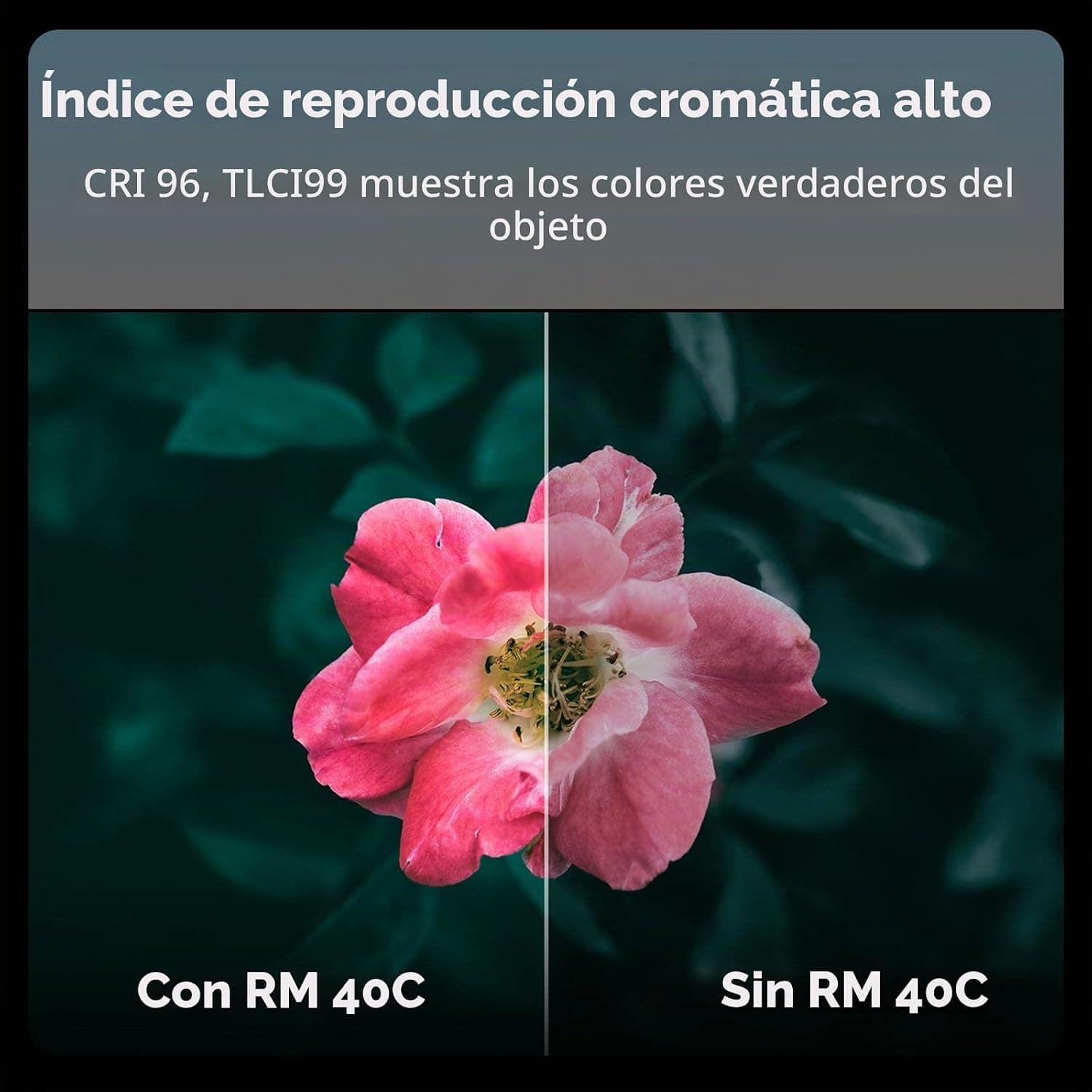 Luz LED RGB RM40C Portátil para Cámara, Video, Fotografía y Streaming - Imagen 7